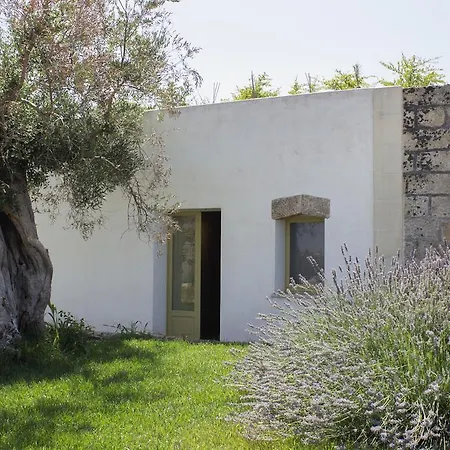 Farm stay Casina Spiggiano
